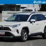 Toyota RAV4 2.5 Hybrid G E-Four 4WD 9-inch navigation dashcam front and rear (pearl mica)