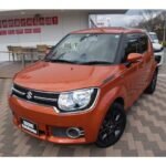 Suzuki Ignis 1.2 Hybrid MX Push Start/Smart Key (Flame Orange Pearl Metallic)